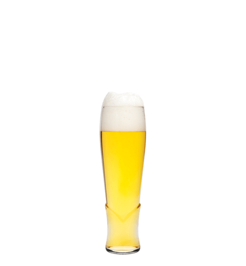 CRAFT BEER 420748 - BİRA